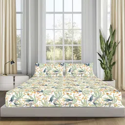 Sleepsia White & Blue Floral 180 TC Queen Bedsheet with 2 Pillow Covers-image-66