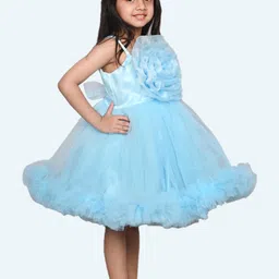 Modish Net Fit & Flare Dress image 3