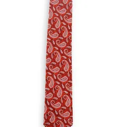 ALZ Men Paisley Printed Skinny Tie-image-13