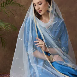 Dupatta Bazaar Ethnic Motifs Embroidered Dupatta with Sequinned image 5