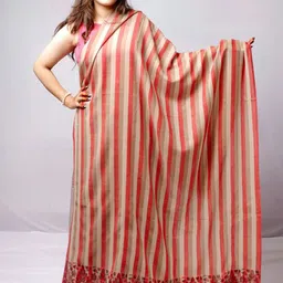 THE SHAWL STUDIO Women Striped Printed Shawl-image-17