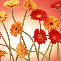 REVEXO 12-Pcs Red & Yellow Printed Table Placemats&Coasters image 5