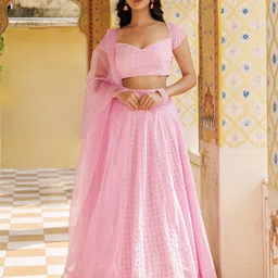 Ragavi Embroidered Ready to Wear Lehenga & Blouse With Dupatta-47