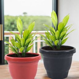 Kuber Industries Red & Black 6 Pieces Versatile Sturdy Flower Planters-14