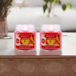 HOSLEY Red 2 pieces Jar Candle-image-38