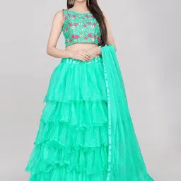 DIVASTRI Embroidered Semi-Stitched Lehenga & Unstitched Blouse With Dupatta-48