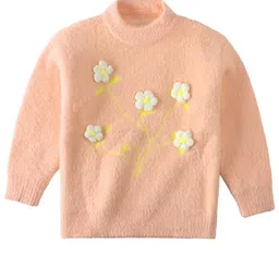 Bold N Elegant Girls Embroidered Pullover-46