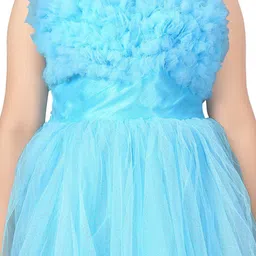 Aarika Net Fit & Flare Maxi Dress image 2