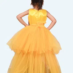 Modish Net Fit & Flare Dress image 3