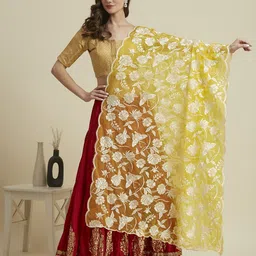 Dupatta Bazaar Printed Organza Dupatta with Thread Work-3