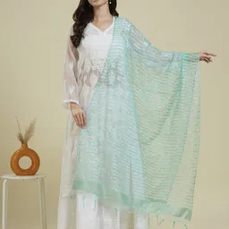 Dupatta Bazaar Woven Design Organza Dupatta With Zari-20