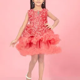 BAESD Net Fit & Flare Dress-42