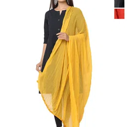 HELLA FASHIONS Selection Of 3 Chiffon Dupattas-picture-42