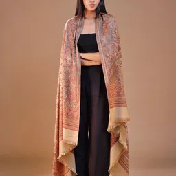 SWI Stylish Women Ethnic Motifs Woven Design Shawl-picture-54