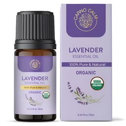 Carno Calm Set Of 3 Green Rosemary Lavender & Bergamot Essential Oils -10 ml Each image 2