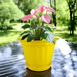 GARDEN'S NEED Set Of 5 White & Red Textured Planters image 3