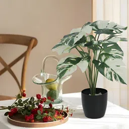 Home Bloom Green & Black Artificial Monstera Deliciosa Leaves Plant With Pot-51