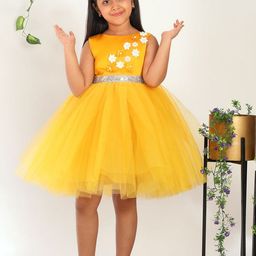Toy Balloon kids Girls Applique Fit & Flare Dress-picture-4