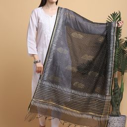 LOOM LEGACY Polka Dots Printed Chanderi Dupatta-picture-6