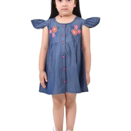 Cloth Bites Girls Embroidered Flared Sleeves Fit & Flare Dress-26