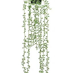 XERGY Green 1 Pieces Hanging Artificial Plant With Pot-55