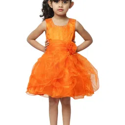 Shahina Fashion Girls Embellished Ruffles Detail Fit and Flare Dresses-image-95