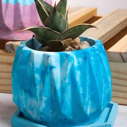 Greyt Blue Textured Cement Planter-22