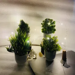 ryme Mini/Small Set Of 4 Artificial Plants With Light For Home and Office Decor Bonsai Wild Artificial Plant with Pot image 2