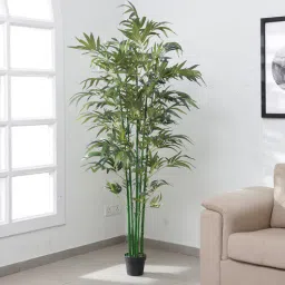 arick decor Green Fabric & Plastic Artificial Plant by Arick D cor-picture-21