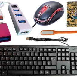 ANJO Wired USB Keyboard-Wired LED Mouse-Non Slip Mouse Pad-2.0 USB Hub-OTG Type C-LED Combo Set-1