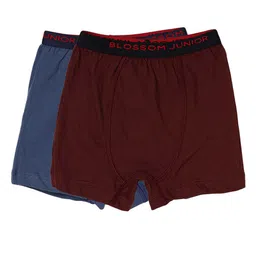 BLOSSOM Boys Pack Of 2 Cotton Assorted Trunks BJU02461_MAX.TRUNK_22_2P-Assorted-20
