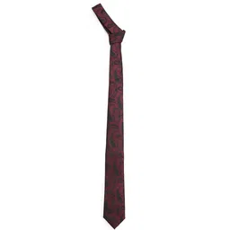 Arrow Men Accessory Gift Set-image-46