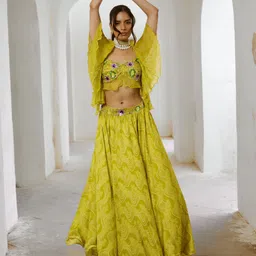 Pallavi Jaipur Embroidered V-Neck Top With Skirt-picture-31