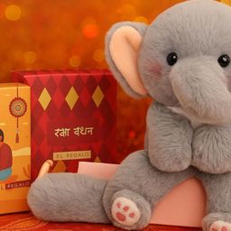 EL REGALO Kids Elephant Wraparound Rakhi-image-35