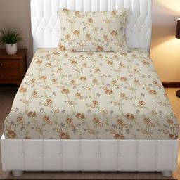 IVAZA Cream Microfiber 240 TC Bedsheets-image-62