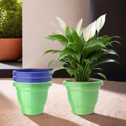 Kuber Industries 4Pc Green & Blue Colored Light Weight Planters-picture-23