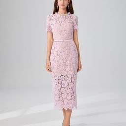 JC Collection Women Self Design Lace Insert Belted Sheath Midi Dress-picture-10
