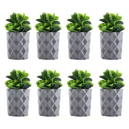 Kuber Industries Grey & Green 8 Pieces Succulent Artificial Plant With Pot-0
