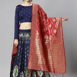 Mr Y Semi-Stitched Lehenga & Unstitched Blouse With Dupatta-picture-16