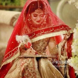 Net Embellished Red Women Dupatta-image-31