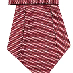 Leonardi Men Cravat Checked Ties-image-90