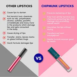 CHIPMUNK Lip It Right Matte Liquid Lipstick - 4.5 ml - Boundless 66 image 4