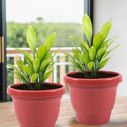 Kuber Industries Red 2 Pieces Versatile Sturdy Flower Planters-image-56
