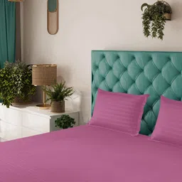 Status Pink Striped 144TC Fitted Solid King Bedsheet with 2 Pillow Covers- 2.2mx2.4m-image-9
