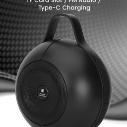 swiss military ANCHA WAZOWSKI 20 W Portable Wireless Bluetooth Speaker image 3