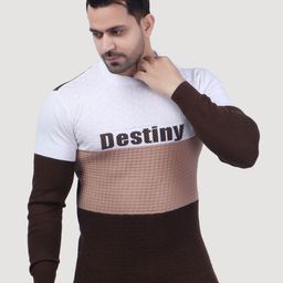 FEVERFEW Men Colourblocked Pullover Sweaters-picture-52