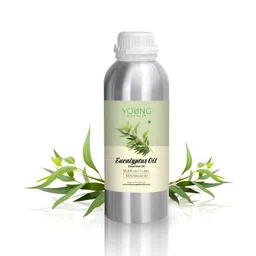 YOUNG CHEMIST Eucalyptus Essential Oil - 1 Litre-image-4