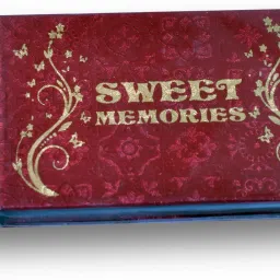 NSSTUDIOS Wooden Maroon Pendrive Box ( 1 Pendrive Capacity } Data Card-36