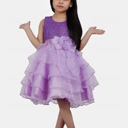 Wish little Net A-Line Dress image 1