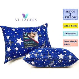 VILLAGERS Set of 2 Blue Polyester Pillows-picture-38